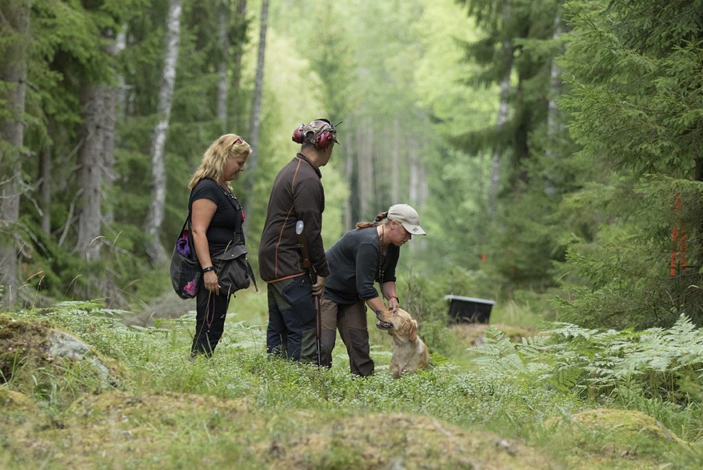 Hund och förare i skogen