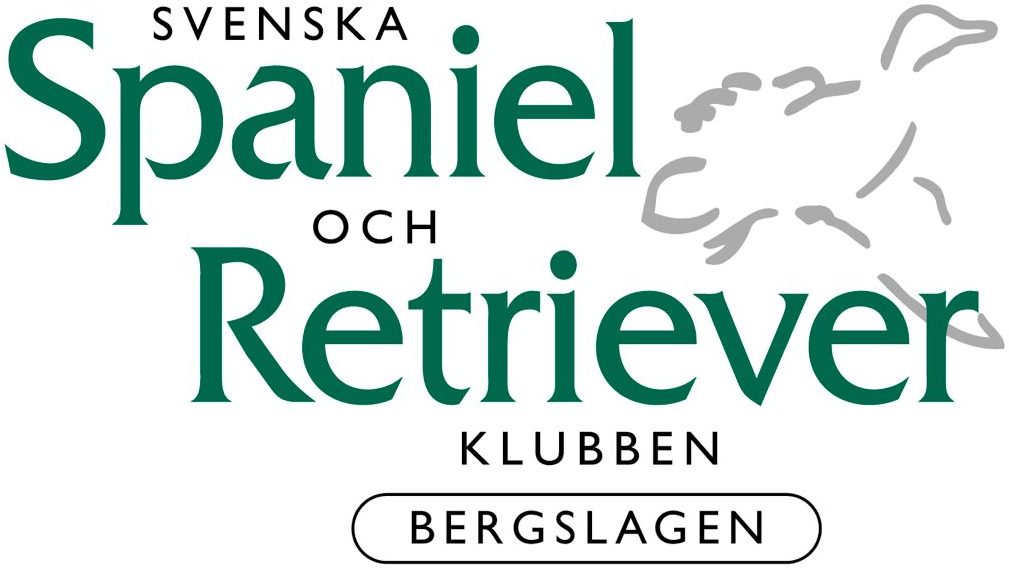 SSRK Bergslagen